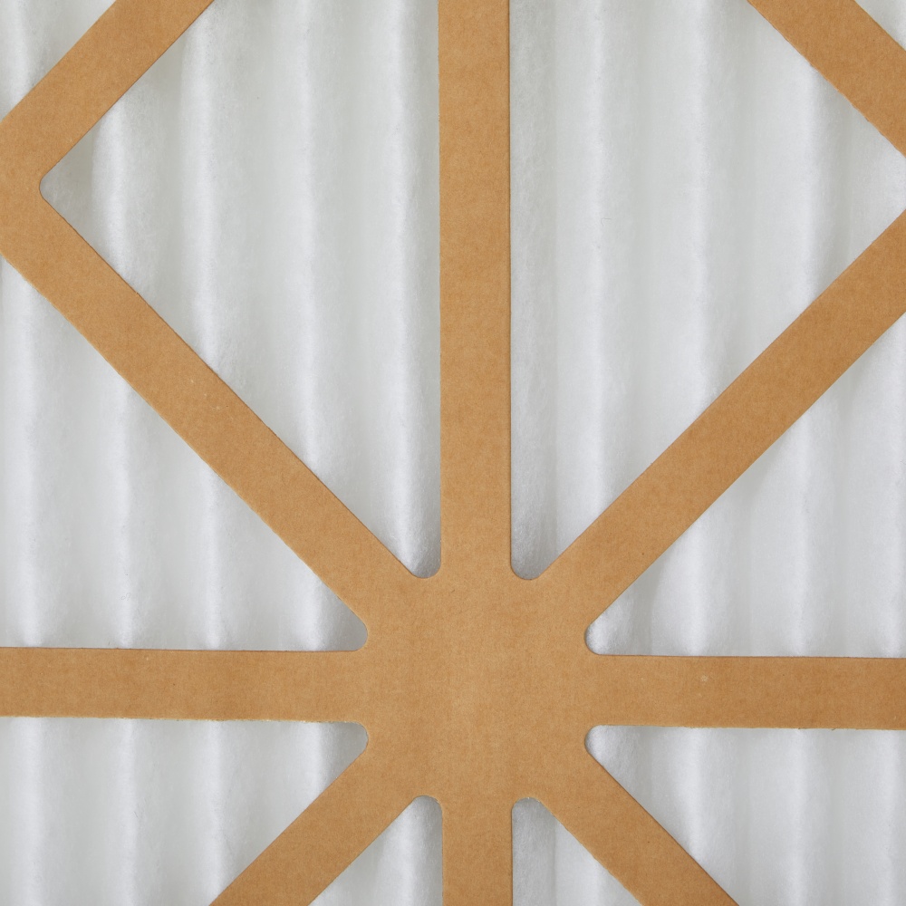Cardboard Pleated Pre-Filter (10)