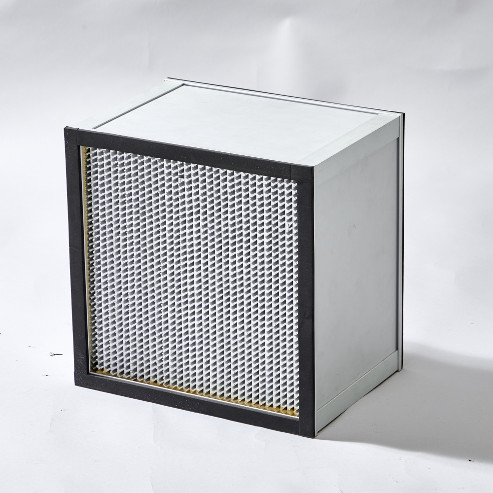 Deep pleated HEPA filter (1)